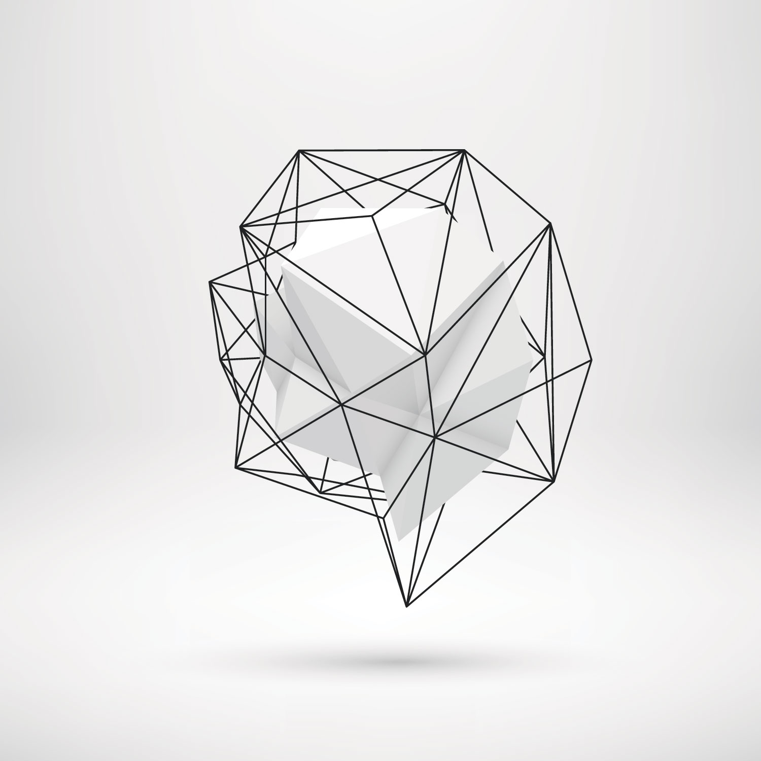 Image module